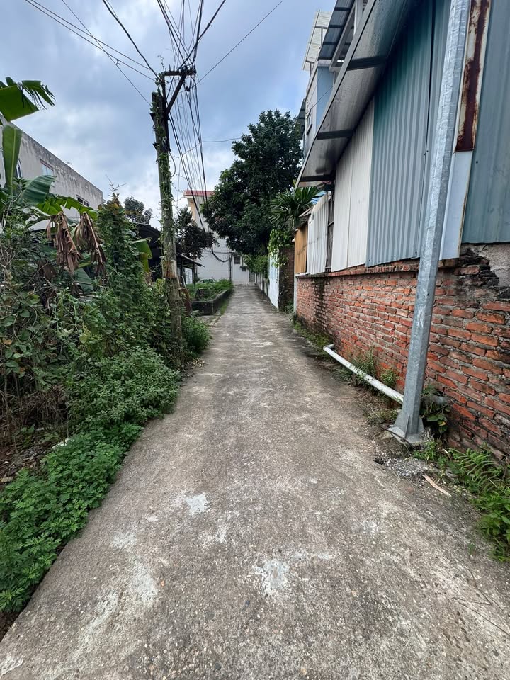 Đất nền 98m² tại Trung Sơn Trầm, Sơn Tây - Giá chỉ 2 tỷ, cơ hội đầu tư tuyệt vời!