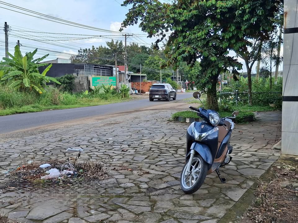 Đất nền thổ cư Phú Hòa, Đức Hòa 230m² giá 1.65 tỷ - Cơ hội đầu tư tuyệt vời!