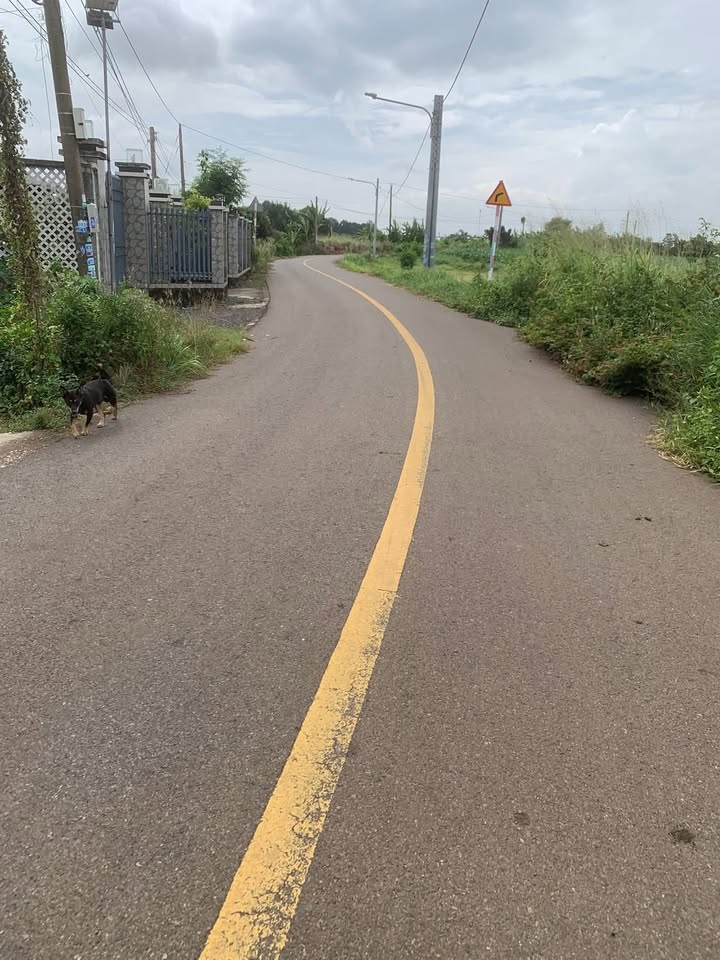 Đất nền Láng Dài 1000m² giá 2 tỷ - Mặt tiền đường nhựa, bớt lộc cho khách thiện chí!