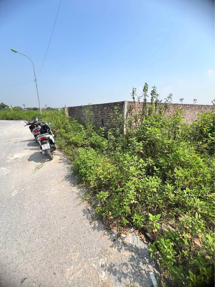 Đất nền Khu Biệt Thự Ngọc Tảo, Phúc Thọ 135m² giá 7.155 tỷ - Tiềm năng sinh lời cao!