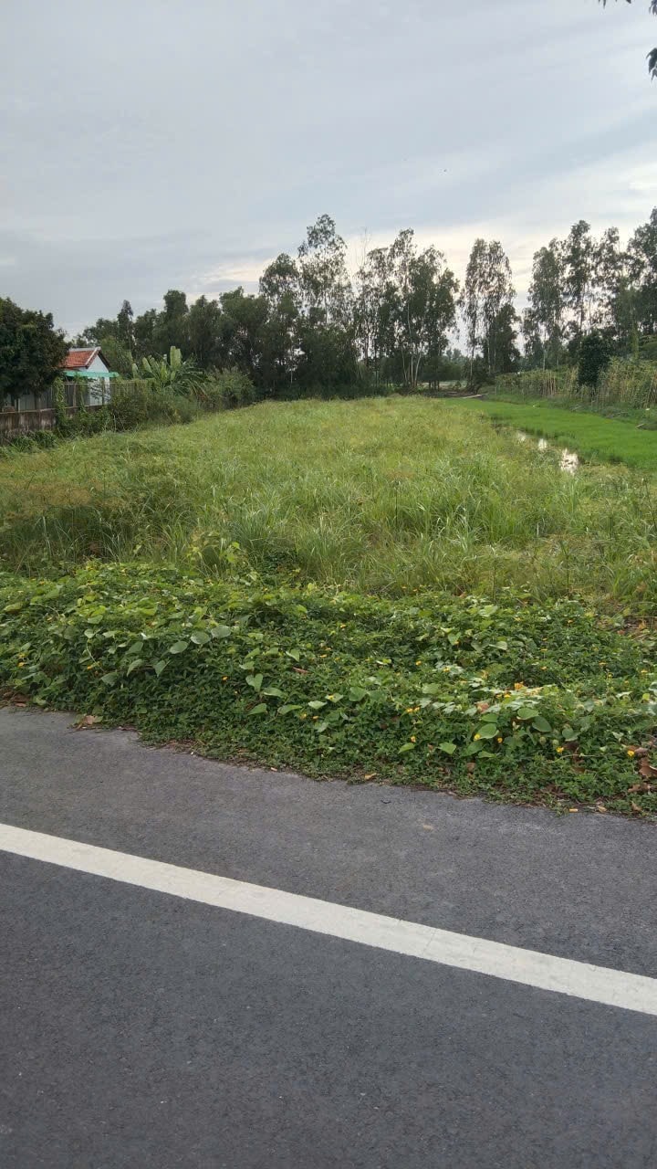 Đất nền 1544m² tại Thới Xuân, Cờ Đỏ - Giá chỉ 3.281 tỷ, Sổ hồng riêng sẵn!