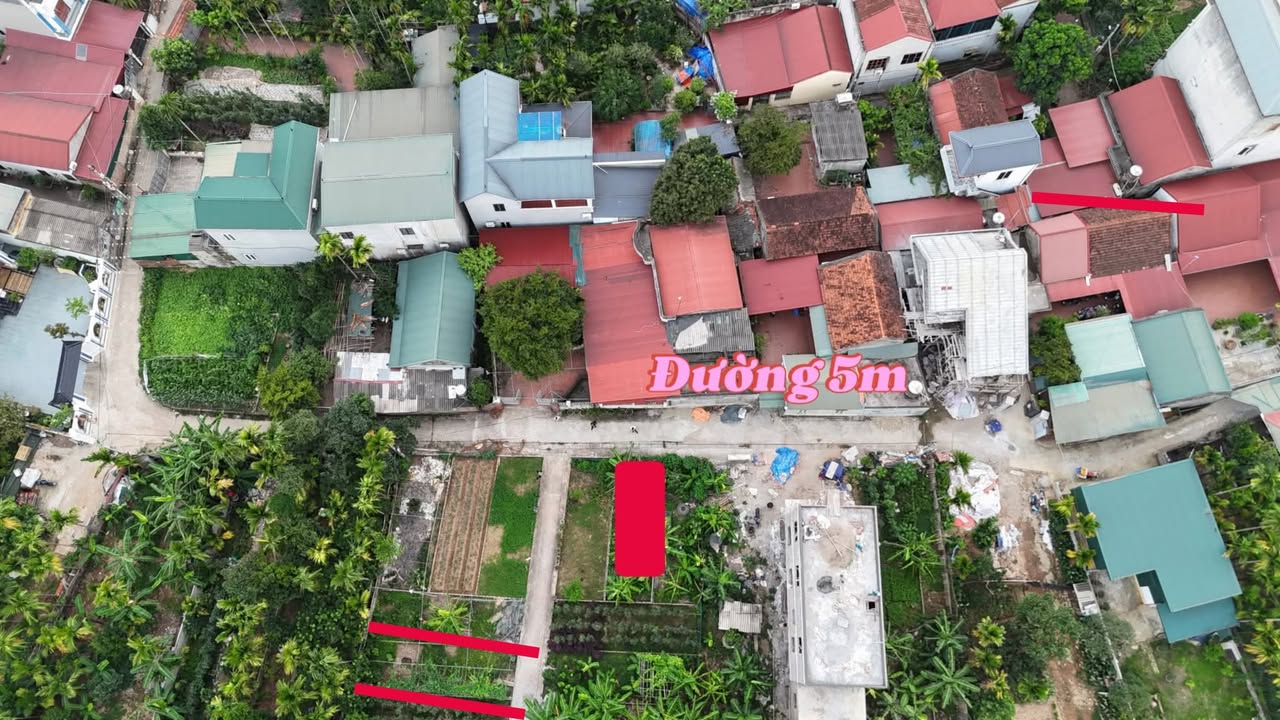 Căn hộ Phúc Hòa Phúc Thọ 55m² giá 1.3 tỷ - Ô tô đỗ cửa, khu dân cư sầm uất!