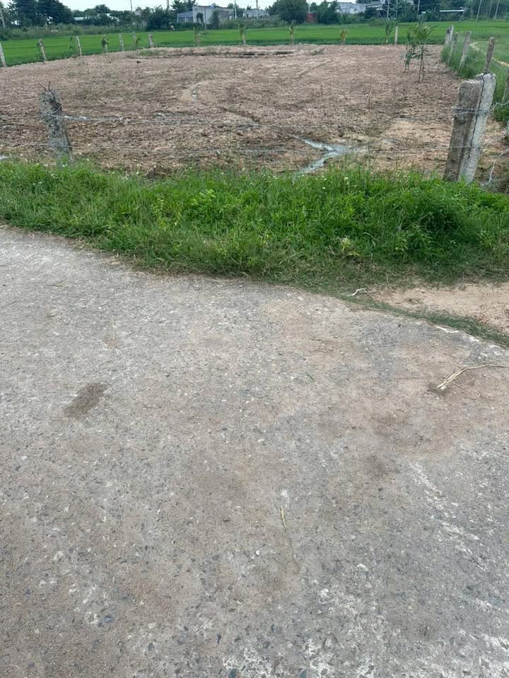 Đất nền 1105m² tại Hàm Chính, Ma Lâm - Giá 620 triệu, thương lượng ngay!