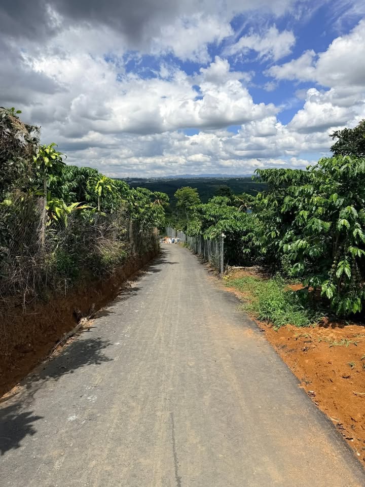 Đất Bảo Lâm 2 2600m² giá 1.68 tỷ - Quy hoạch thổ cư 95%!