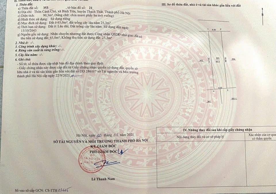 Đất nền thôn Cánh Chủ, Bình Yên 90m² giá 3 tỷ - Kinh doanh sầm uất!