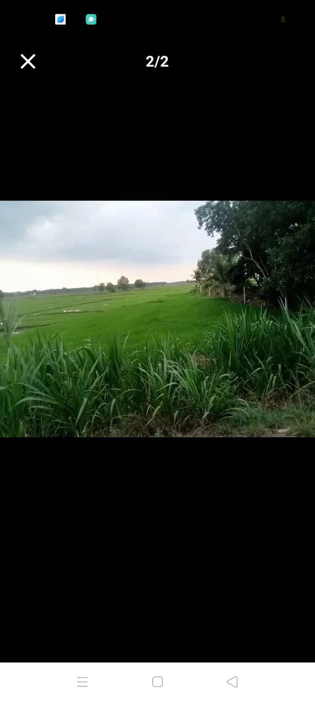 Đất nền 928.2m² tại Ấp Đông Biên, Tân Châu, Tây Ninh - Giá 2 tỷ, cơ hội đầu tư sinh lời!