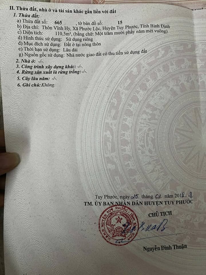 Đất nền đẹp tại Phước Lộc, Tuy Phước 110,5m² - Cơ hội đầu tư tuyệt vời!