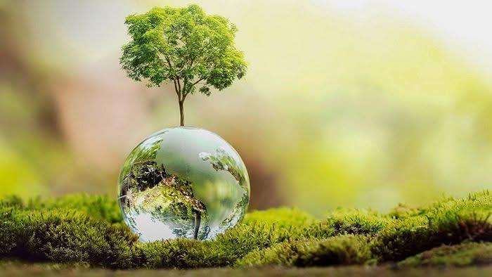 Đất nền Nhơn Bình Quy Nhơn 135m² giá 2.83 tỷ - Pháp lý sổ đỏ chính chủ!