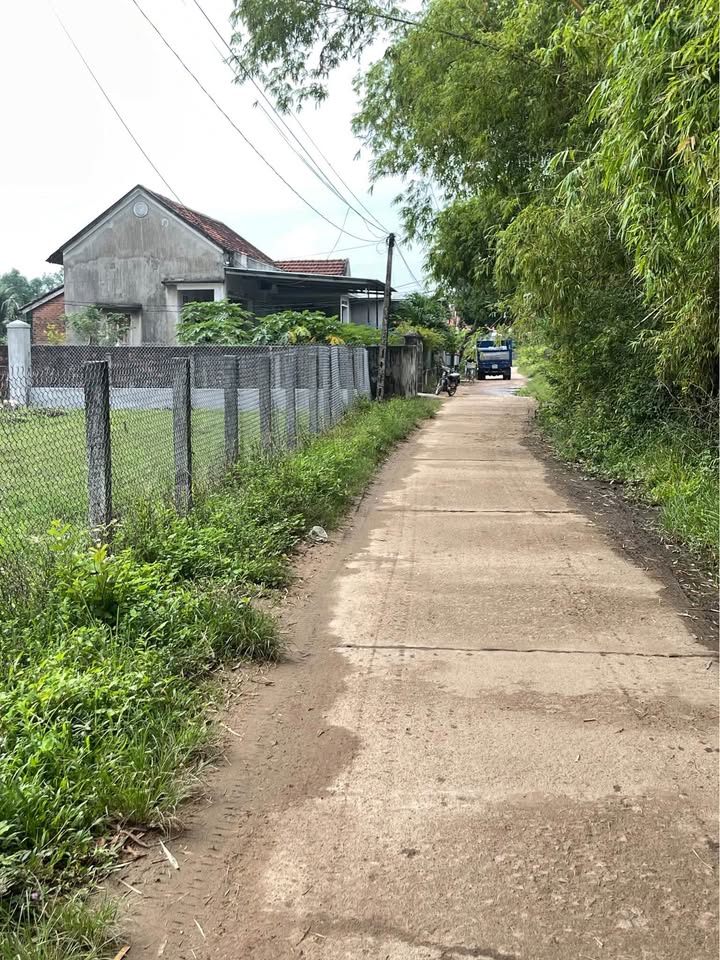 Đất nền Cát Trinh, Phù Cát 135m² giá 500 triệu - Đầu tư sinh lời ngay!