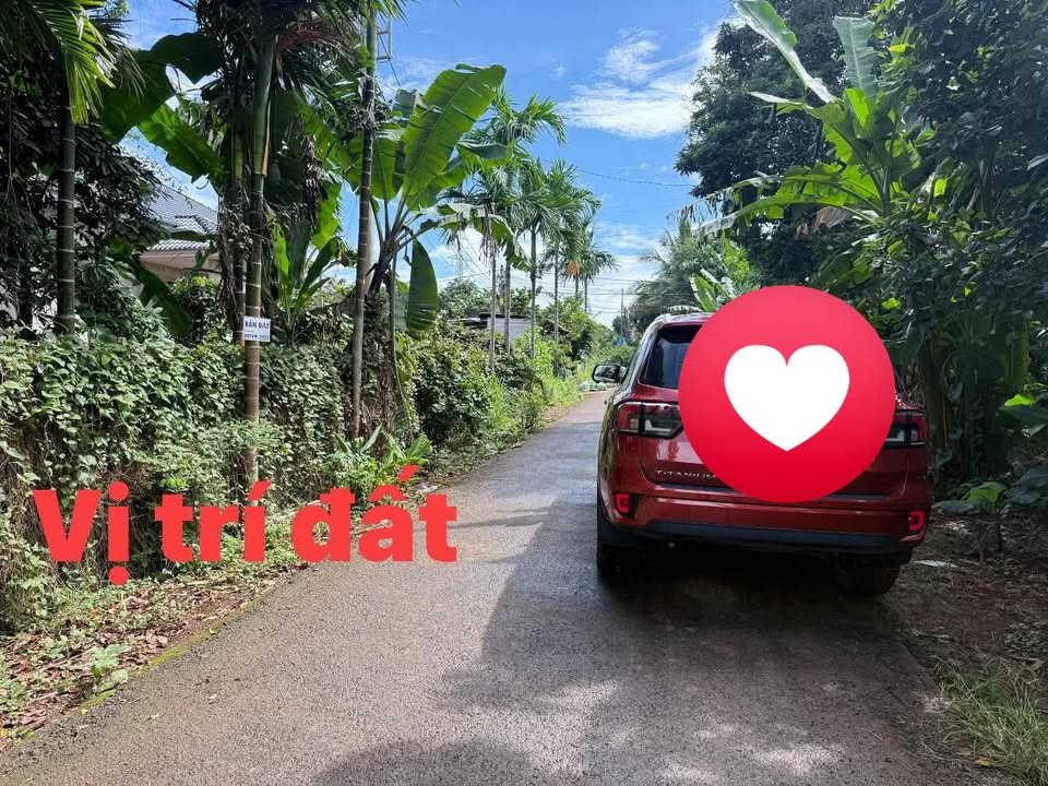 Đất nền Tân An Buôn Ma Thuột 145m² giá 1.8 tỷ - Vị trí thuận lợi gần chợ và trường học!