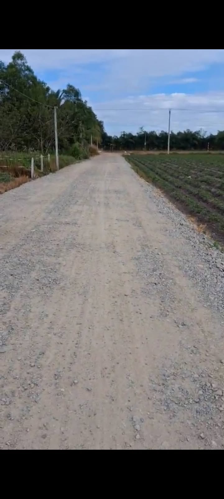 Đất nền Phước Minh, Dương Minh Châu, 160m² chỉ 400 triệu - Cơ hội đầu tư tuyệt vời!