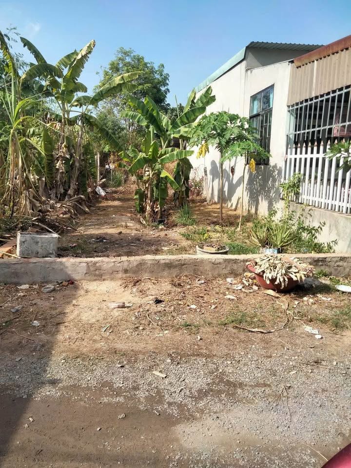 Đất Tân Định, Bến Cát 100m² giá 1.4 tỷ - Đầu tư lý tưởng!