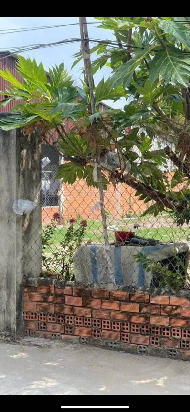 Đất nền 180m² xã Trí Bình, Châu Thành, Tây Ninh - Giá chỉ 400 triệu!