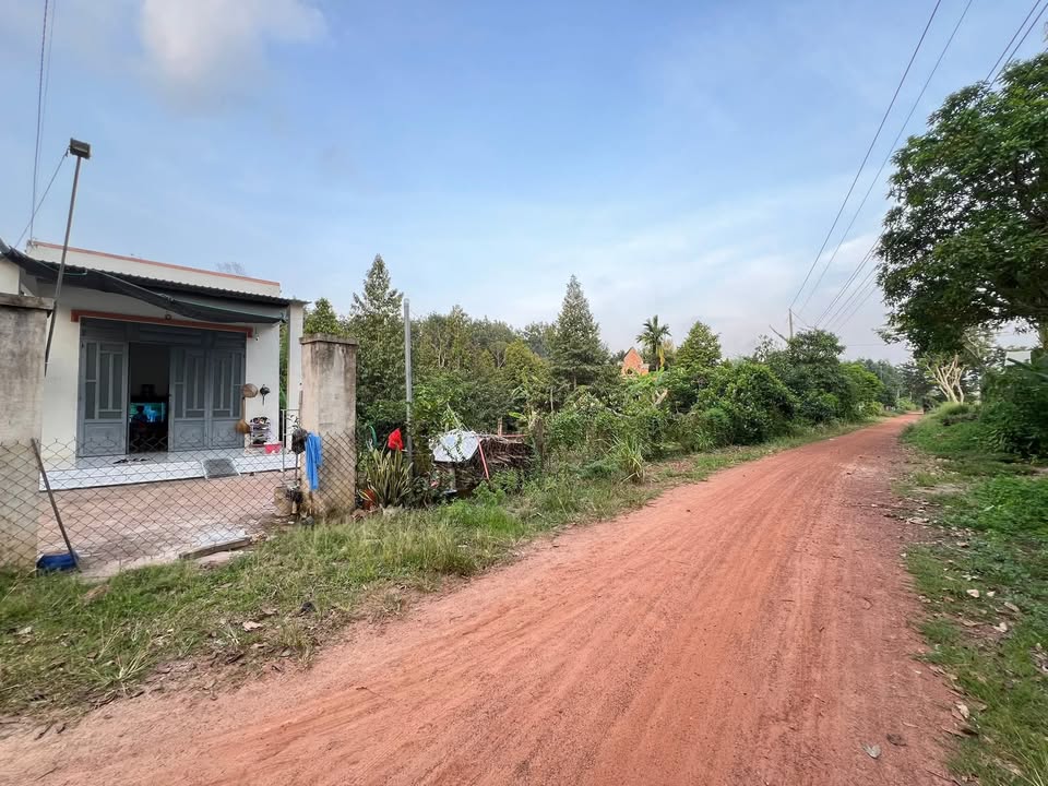 Đất nền 801m² tại đường Đất 138, An Bình, Phú Giáo - Sẵn vườn cây ăn trái, giá thỏa thuận!