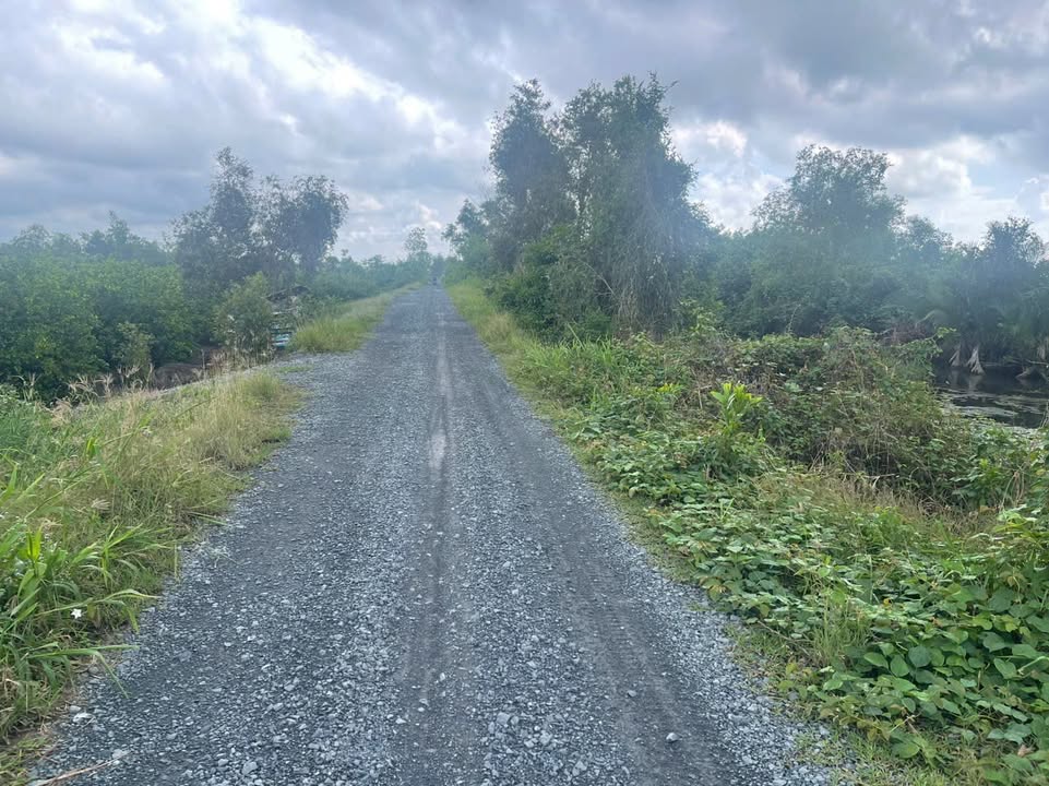 Đất vườn 5400m² tại Tân Thành, Thủ Thừa - Giá chỉ 2.16 tỷ - Cơ hội đầu tư tuyệt vời!