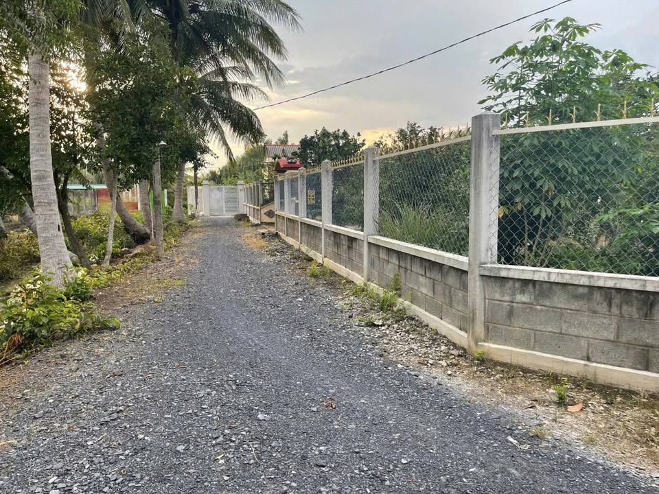 Đất thổ cư 1829m² tại Thạnh Đức, Gò Dầu - Giá chỉ 3.9 tỷ - Cơ hội đầu tư tuyệt vời!