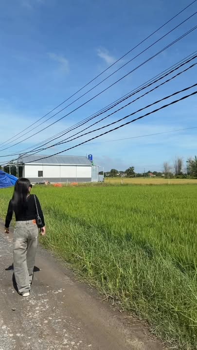 Đất thổ cư 200m² tại Ấp Bình Lợi, Đức Hòa chỉ 980 triệu - Đầu tư sinh lời cao!