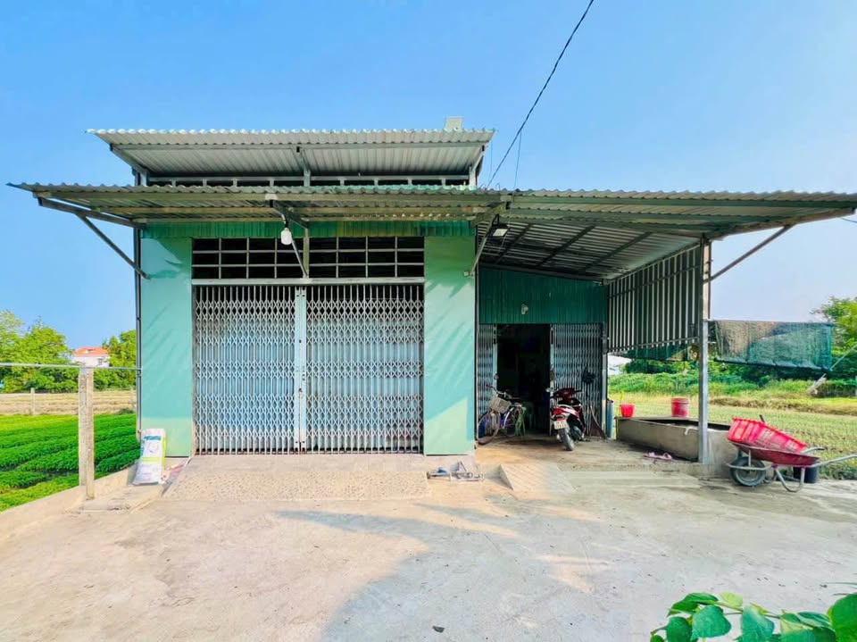 Đất nông nghiệp 1000m² tại Mỹ Lộc, Cần Giuộc - Giá chỉ 1.85 tỷ VND!