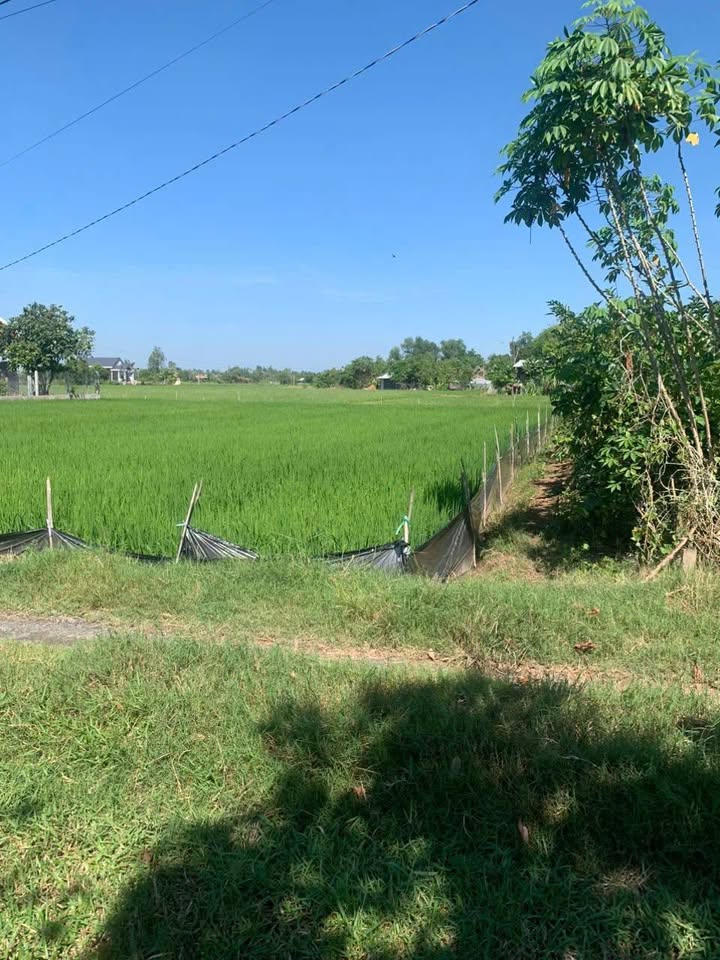 Đất nền 675m² Tân Phú, Đức Hòa chỉ 600 triệu - Cơ hội đầu tư hấp dẫn!