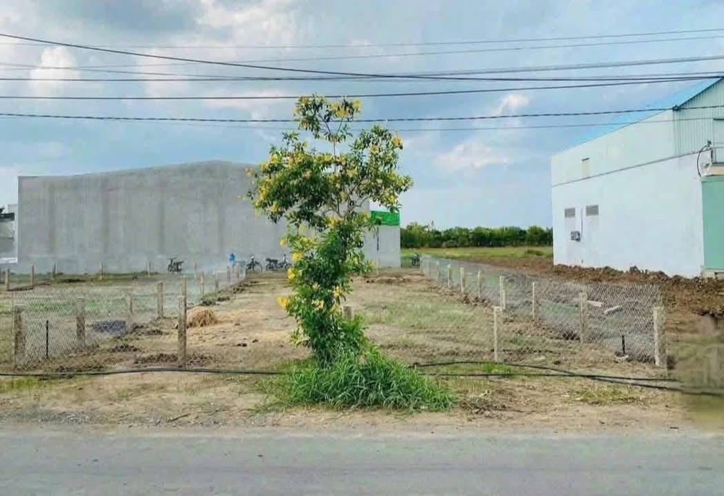 Đất nền Bình Trinh Đông Tân Trụ 240m² giá chỉ 170 triệu - Mặt tiền kinh doanh sầm uất!