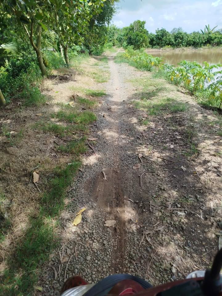 Đất nông nghiệp 7 công Ấp 4 Ba Sao - Giá chỉ 230 triệu - Cơ hội đầu tư hấp dẫn!