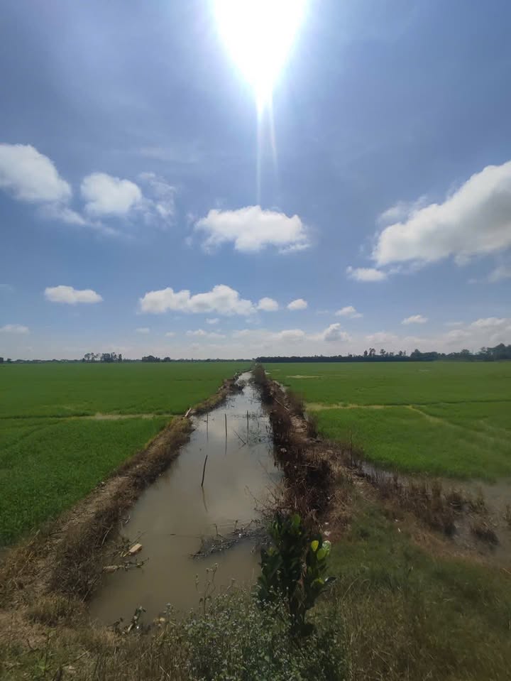 Đất nền 17.000m² Gáo Giồng, Đồng Tháp giá chỉ 170 triệu - Cơ hội đầu tư hấp dẫn!