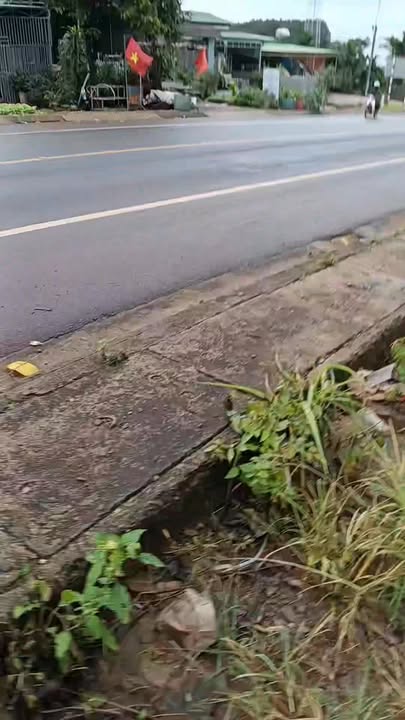 Nhà kiên cố Ia Krêl, Đức Cơ 700m² giá 1 tỷ - Tiềm năng đầu tư cao!