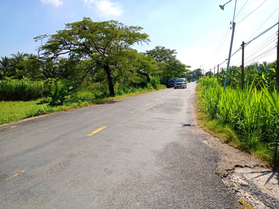 Đất mặt tiền tỉnh lộ 864, xã Vĩnh Hựu, huyện Gò Công Tây 3400m² - Đầu tư sinh lời lý tưởng!