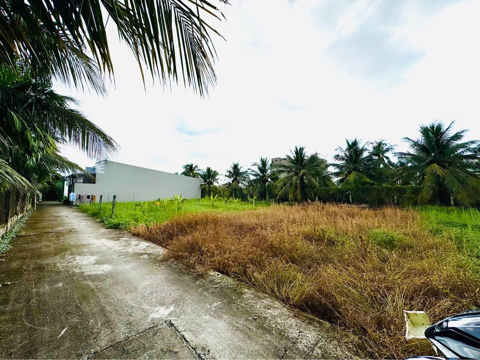 Đất Tân Mỹ Chánh, TP Mỹ Tho 72m² giá 499 triệu - Cơ hội vàng cho nhà đầu tư!