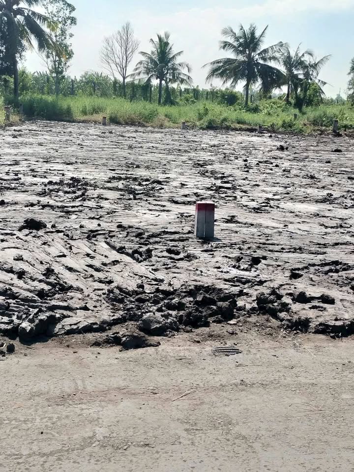 Đất mặt tiền đường HL.15, xã Thạnh Trị, 250m² giá 550 triệu - Cơ hội đầu tư tuyệt vời!