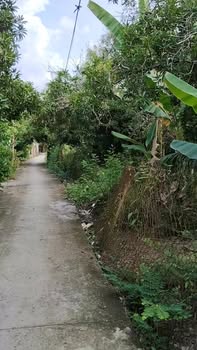 Đất nông nghiệp 1890m² tại Song Thuận, Tiền Giang - Tiềm năng sinh lời cao!