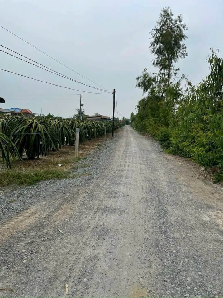 Đất nền Phước Tân Hưng 1040m² giá chỉ 650 triệu - Vị trí mát mẻ bên kênh