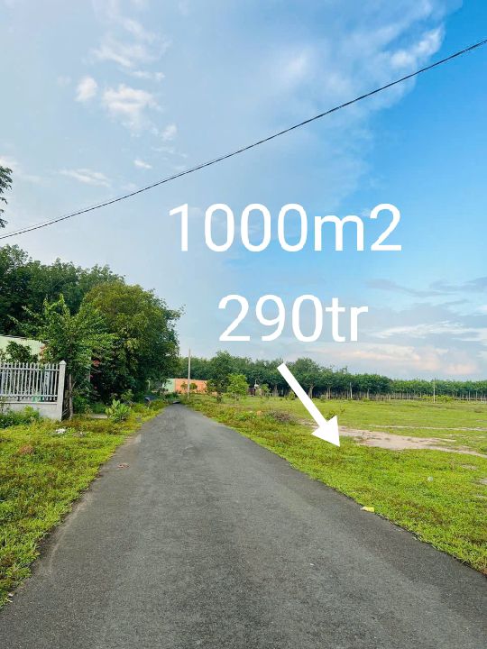 Đất thổ cư Long Nguyên Bàu Bàng 1000m² giá 290 triệu - Cơ hội đầu tư tuyệt vời!