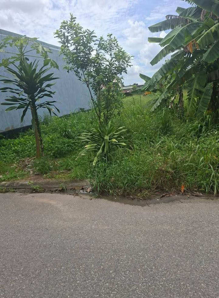 Đất nền An Phước, Long Thành 295m² giá chỉ 2.8 tỷ - Sổ đỏ chính chủ!