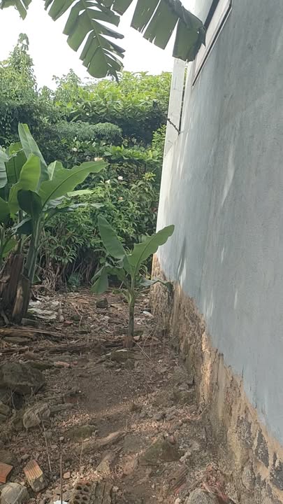 Đất thổ cư 115m² Bàu Hàm, Trảng Bom - Giá chỉ 1.05 tỷ - Sổ riêng chính chủ!