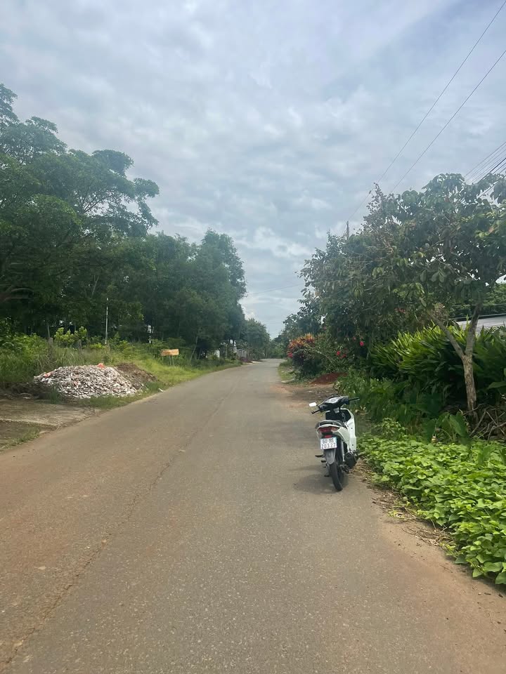 Đất nền Phú Hòa, Đồng Nai 500m² giá 1.5 tỷ - Đầu tư sinh lời ngay!