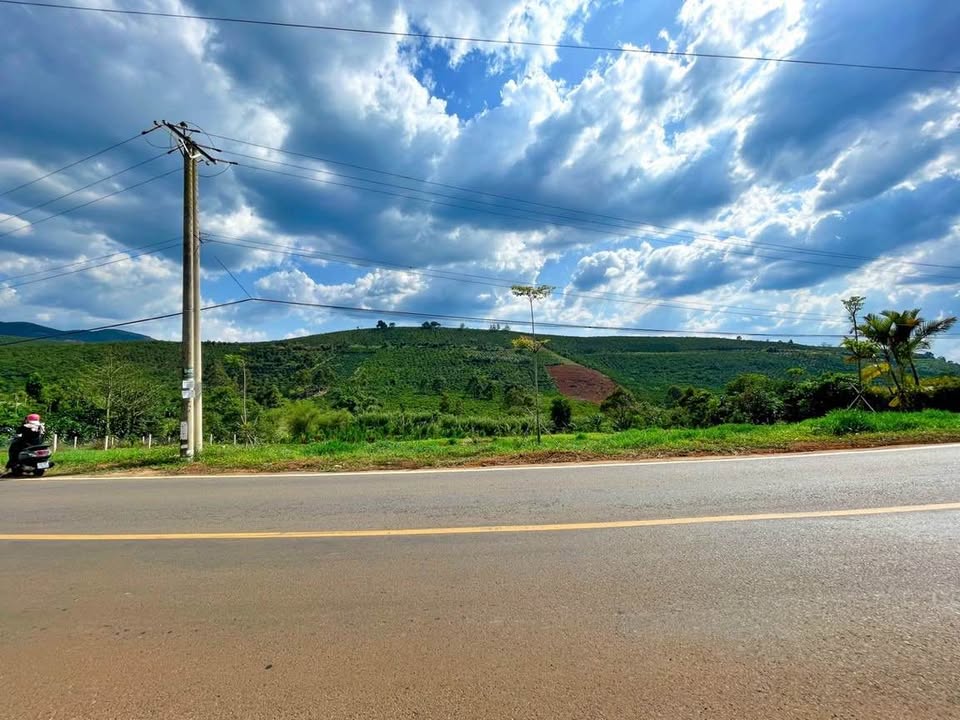 Đất nền mặt tiền DT725, xã Lộc Ngãi, Bảo Lâm, 401m² - Giá 1.6 tỷ, thương lượng ngay!