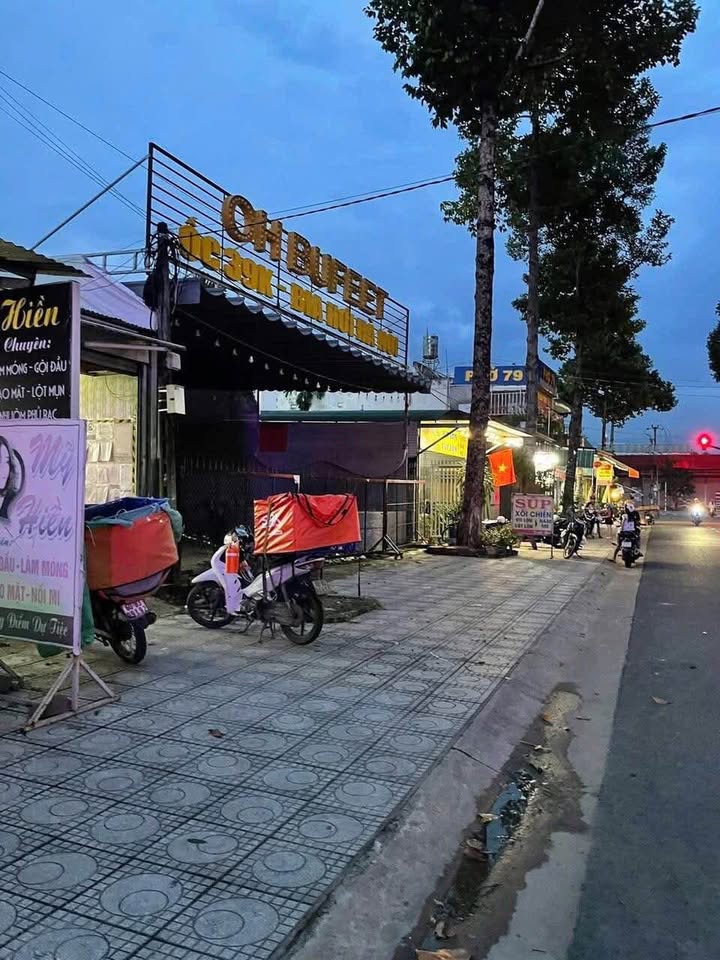 Đất nền mặt tiền đường Chu Văn An, TT Tân Phú 500m² - Vị trí đắc địa gần trung tâm