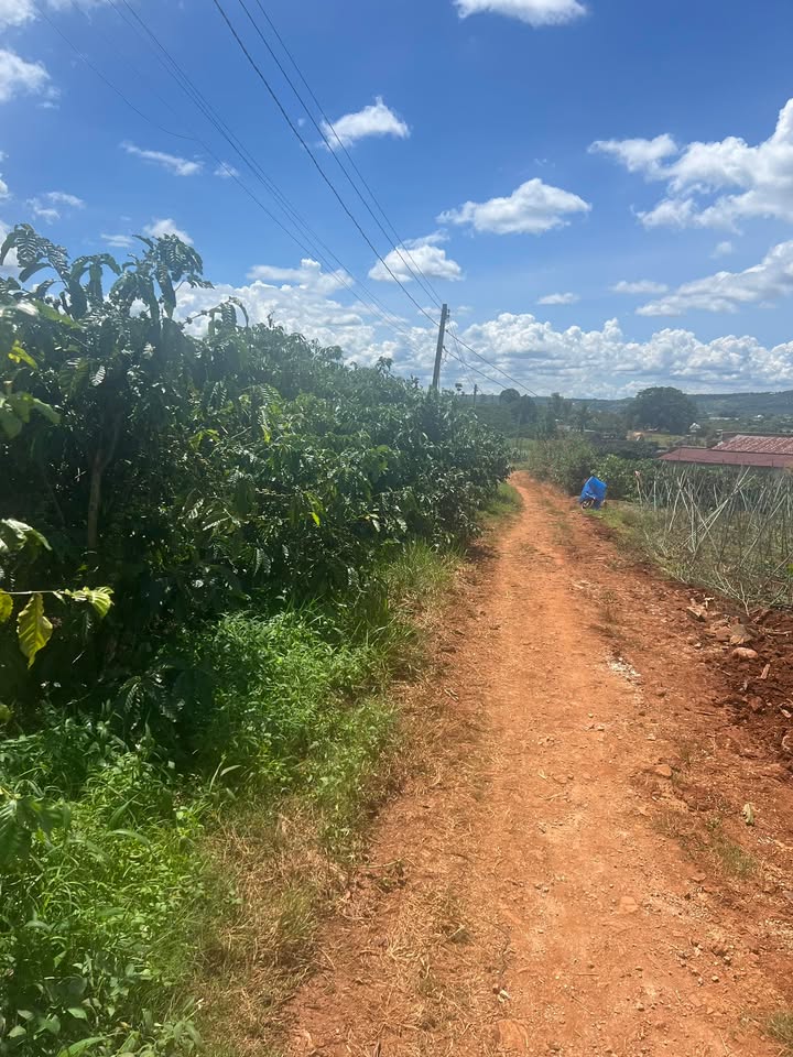 Đất nền 3000m² tại Tân Hội - Giá 2.1 tỷ VND - Cơ hội đầu tư sinh lời!