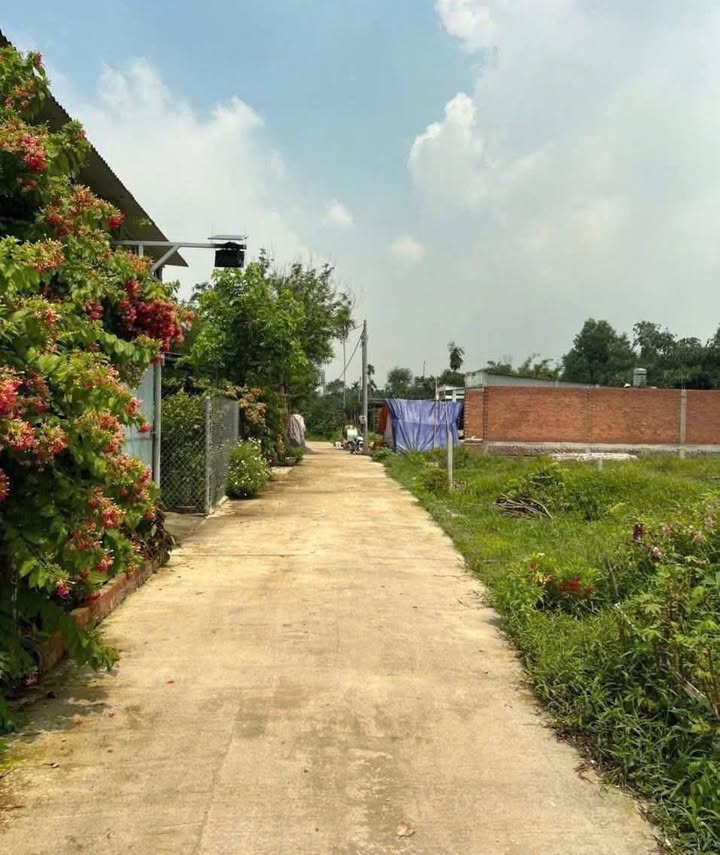 Đất thổ cư 203m² ấp 2 Long Thọ, Nhơn Trạch - Giá chỉ 1 tỷ VND, thương lượng nhẹ!