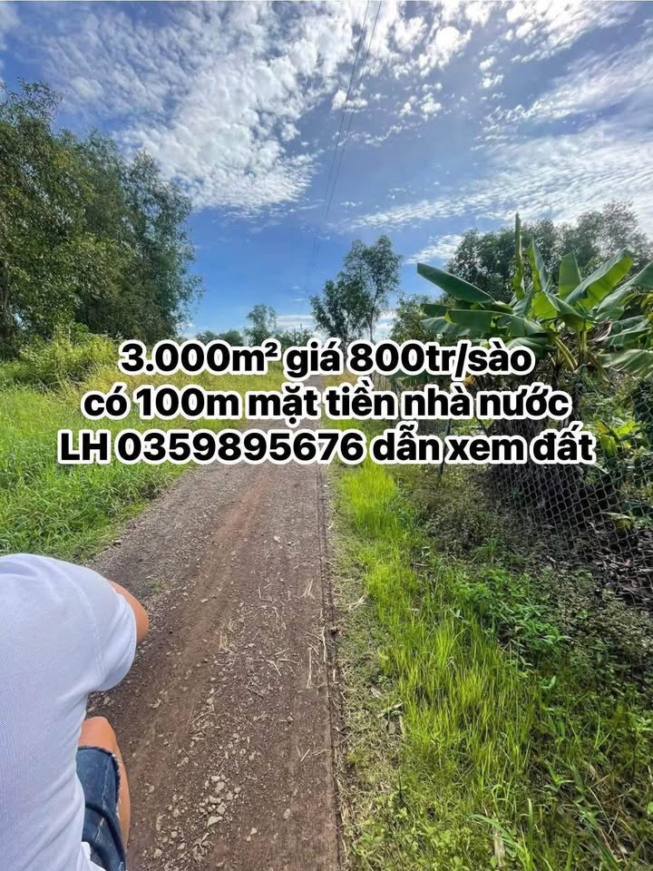 Đất nền 3 sào tại xã Gia Kiệm, Thống Nhất, Đồng Nai - Giá 10.8 tỷ - Đầu tư sinh lời ngay!