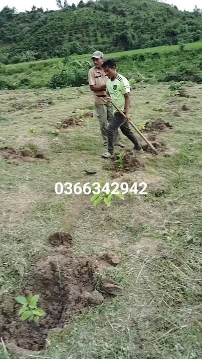 Đất nông nghiệp Đạ Tông 1080m² giá 800 triệu - Tại khu trung tâm xã