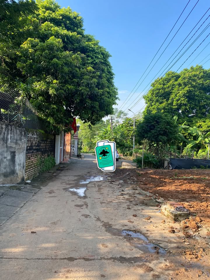 Đất thổ cư Phượng Lâu 100m² giá 1 tỷ - Đầu tư sinh lời ngay!