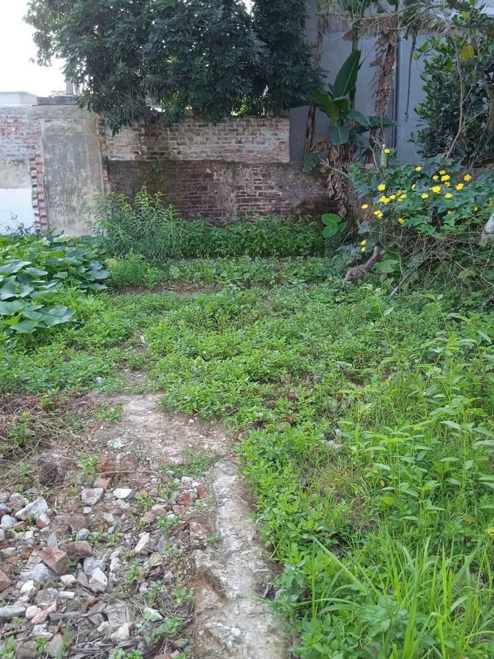 Đất nền Minh Khai Vũ Thư 61m² giá thỏa thuận - Kinh doanh sầm uất!