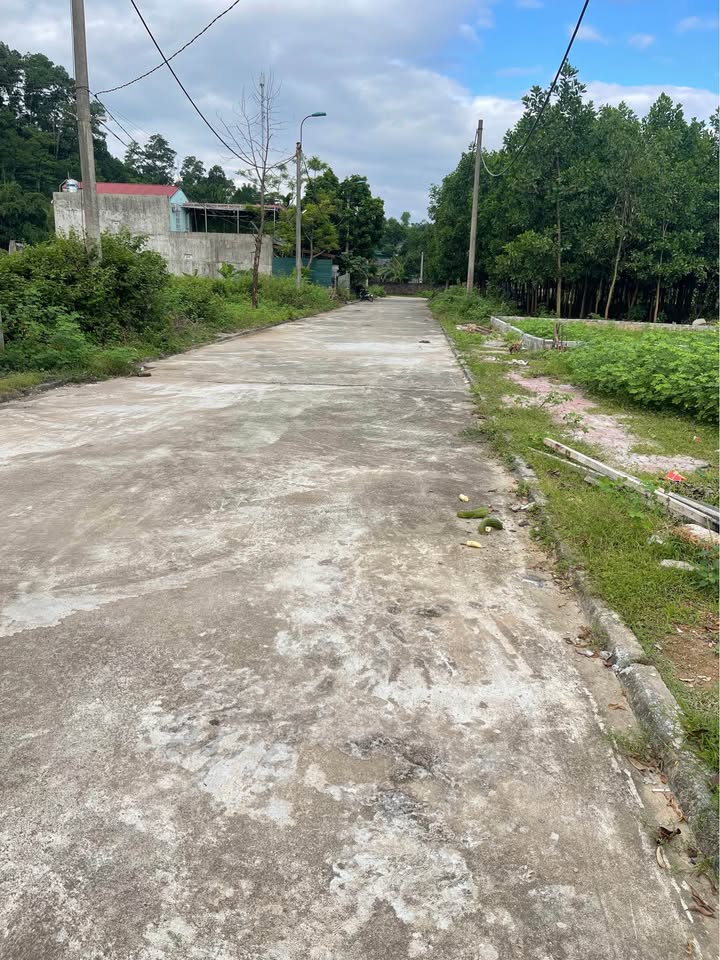 Đất thổ cư 220m² tại Cư Yên, Lương Sơn - Giá cực rẻ, vị trí đắc địa!