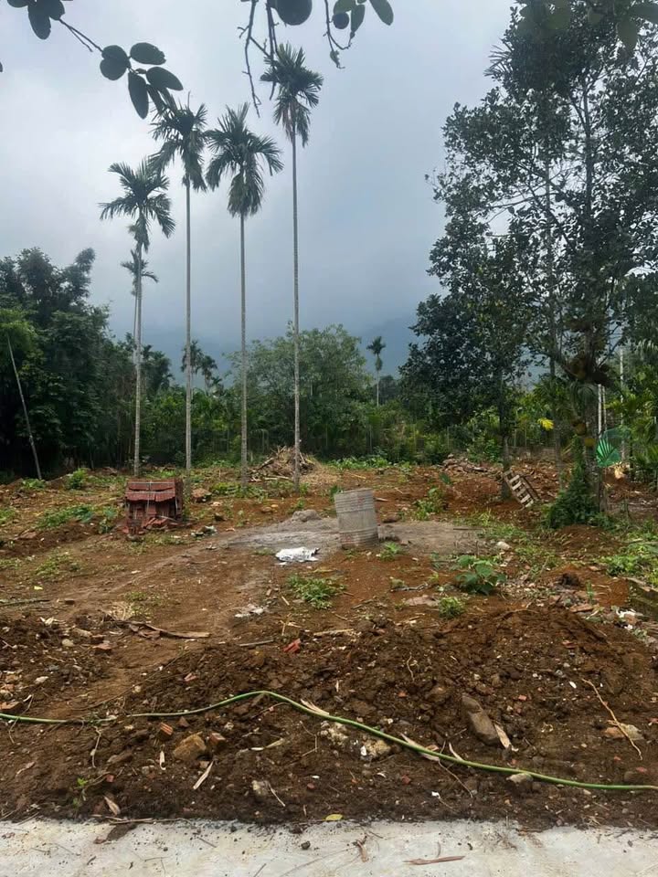 Đất nền Yên Bình, Thạch Thất 338m² giá 4 tỷ - Đầu tư sinh lời ngay!