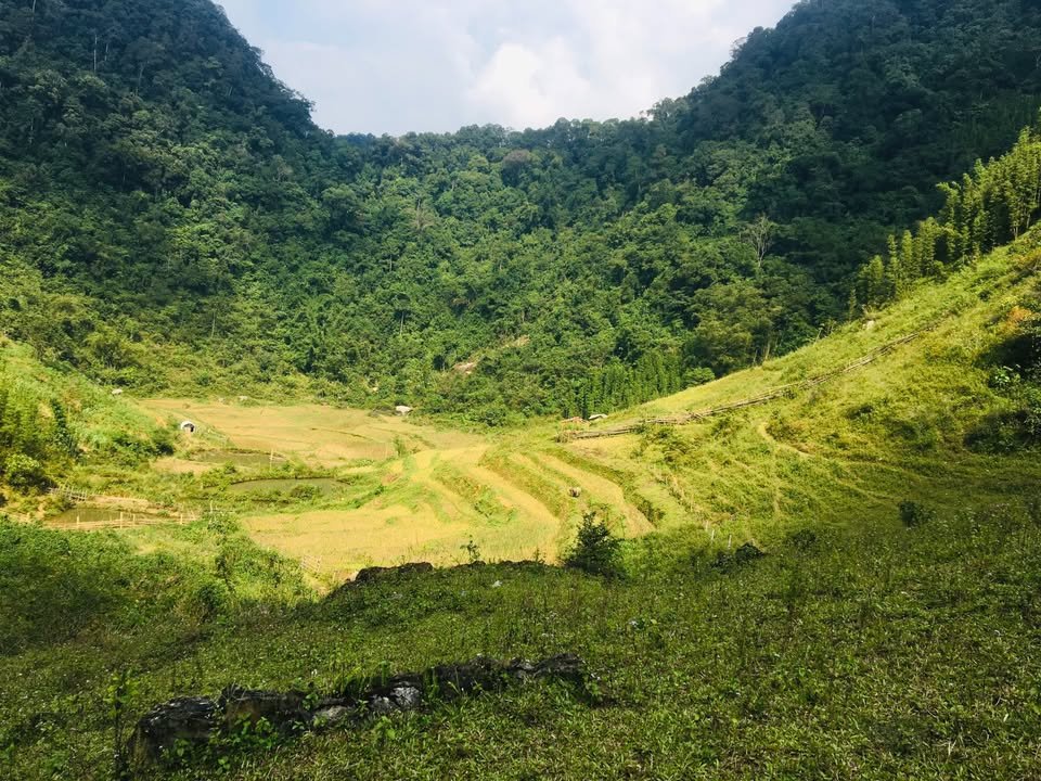 Đất nông nghiệp 2,6ha tại Cổ Lũng, Bá Thước - Khí hậu mát mẻ, trồng cây ăn quả lý tưởng!