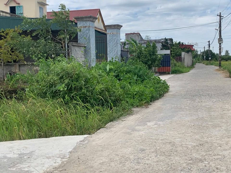 Đất nền Văn Tố, Tứ Kỳ 200m² giá 400 triệu - Vị trí đắc địa, đầu tư sinh lời!