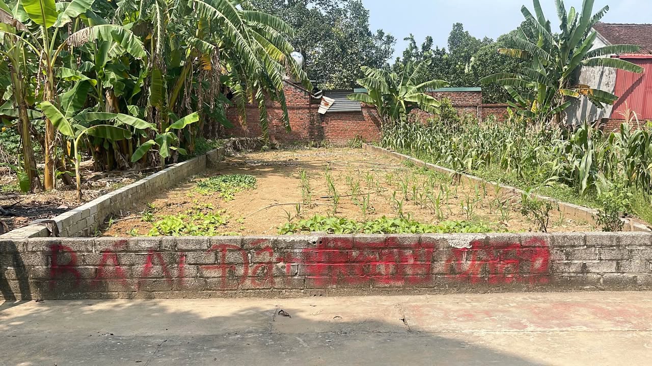 Đất nền 145m² Tân Xã Thạch Thất giá chỉ 4.35 tỷ - Đường ô tô tránh nhau!