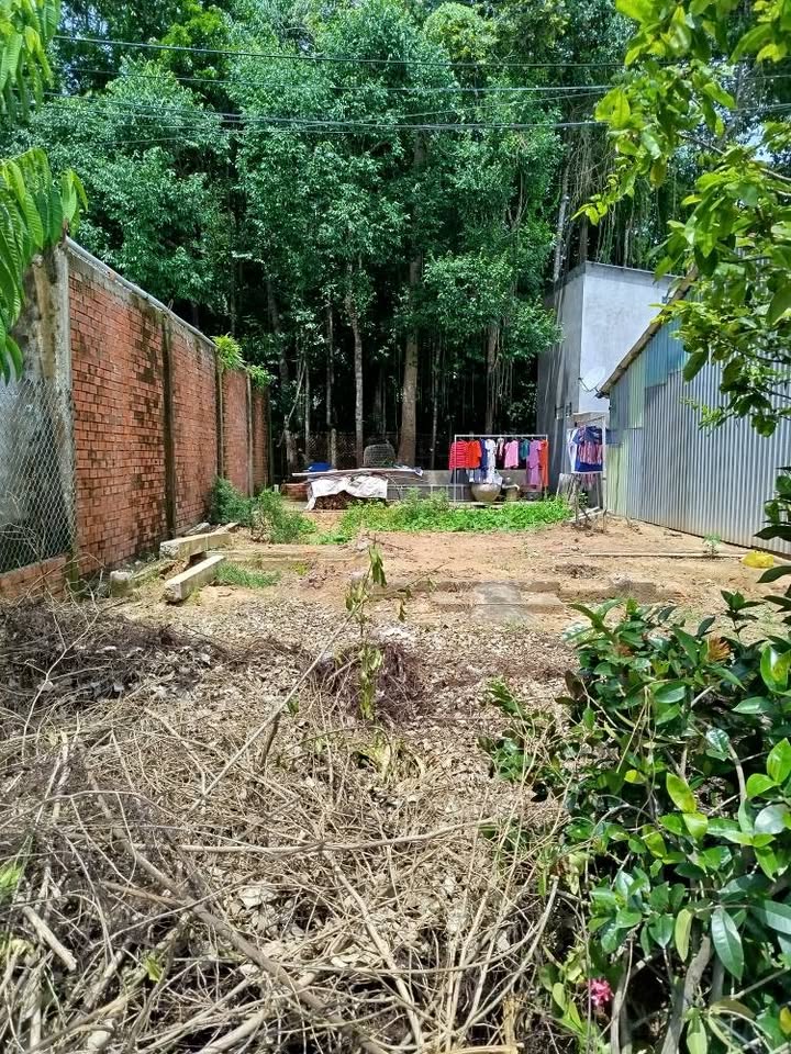 Đất mặt tiền Lê Văn Tám, xã Lương Hòa, 180m² giá 1.4 tỷ - Đầu tư sinh lời ngay!